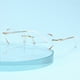 thumbnail image 1 of Gafas de presbicia anti luz azul sin marco con borde de diamante para damas, gafas planas, gafas de cerca terminadas, gafas mecedoras, 1 of 2