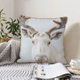 thumbnail image 6 of Fotbe White Reindeer Portrait Pattern Velvet Decorative Throw Pillow Covers with Elegant Piping, Soft Plush Cushion Cover for Sofa, Bed, Car, Office-16"x16", 6 of 8