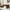 Brown, variant on Modern Fabric Upholstered Sofa with Pillows, Button Tufted  Small Couch with Four Feet, Medieval Love Seat Sofa Furniture for Living Room, Bedroom, Apartment, Dark Grey