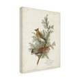 thumbnail image 2 of John James Audubon 'Cedar Bird' Canvas Art, 2 of 3