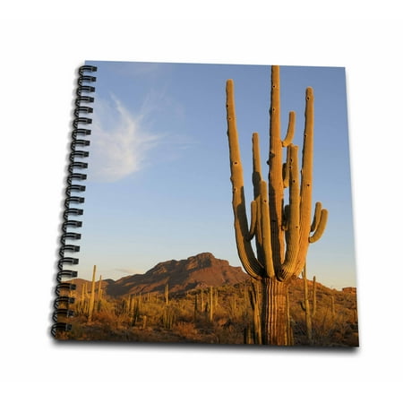 Note Range - 3dRose Arizona, Organ Pipe Cactus. Saguaro Cactu in front of the Ajo range - Mini Notepad, 4 by 4-inch
