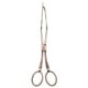 thumbnail image 2 of Varias Pinzas de Acero Inoxidable para Cocina, Pinzas para Ensalada de Postres, Bronce N. degree 3, Se Describe Bronce 2 Macarena Pinzas para torta, 2 of 8