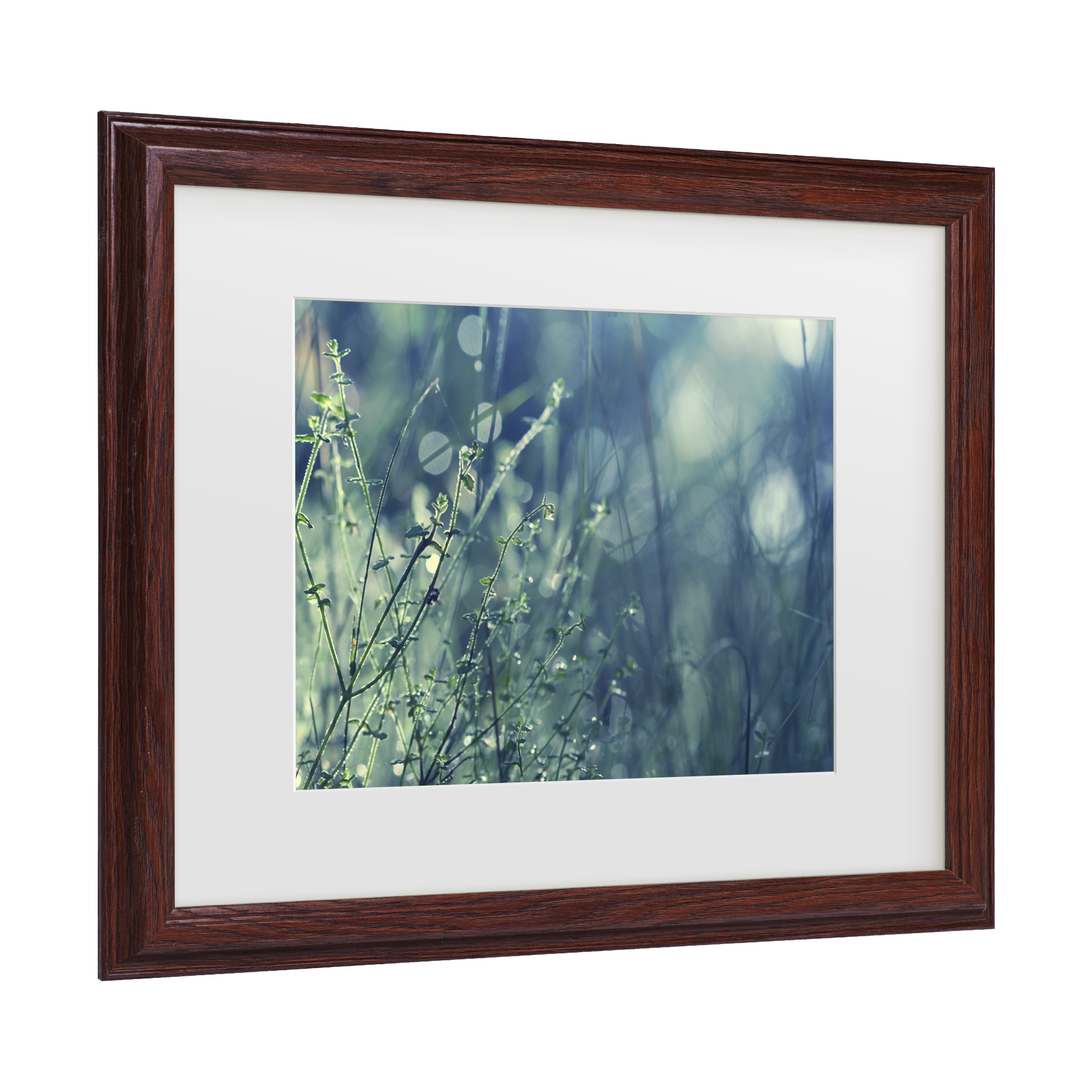 Trademark Fine Art 'Blues in the Morning' Canvas Art by Beata Czyzowska Young