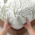 thumbnail image 3 of Twin Sze Fitted Sheet Set - Coastal Sage Green 2 Piece Bedding Sets 16" Deep Pocket Fitted Sheet with 1 Pillowcase, Ocean Coral Starfish Shell Modern Brushed Microfiber Hotel Luxury Bed Sheets, 3 of 9