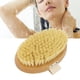 thumbnail image 1 of Cepillo Exfoliante Corporal, Cepillo Corporal De Drenaje Linfático Exfoliante Desintoxicante Para Apretar La Piel Madera De Haya Para El Cuidado De La Piel, 1 of 7
