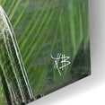 thumbnail image 3 of Epic Art 'Meditation Vegetation' by Fusion Idol Arts, Acrylic Glass Wall Art, 12"x16", 3 of 8