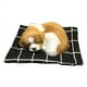 thumbnail image 2 of Estera de tela de simulación de mascota del año del perro llamará a la siesta, regalo de perro, juguete de regalo, coche, 2 of 6