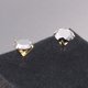 thumbnail image 2 of Pendientes de acero inoxidable de titanio y titanio japoneses y coreanos con cuatro garras y circonitas antialérgicas, 2 of 5