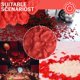 thumbnail image 5 of Pétalos de rosas rojas para una noche romántica - Juego de 3600 pétalos de rosas artificiales de seda falsa para el día de San Valentín - Ideal para noches románticas especiales, 5 of 5