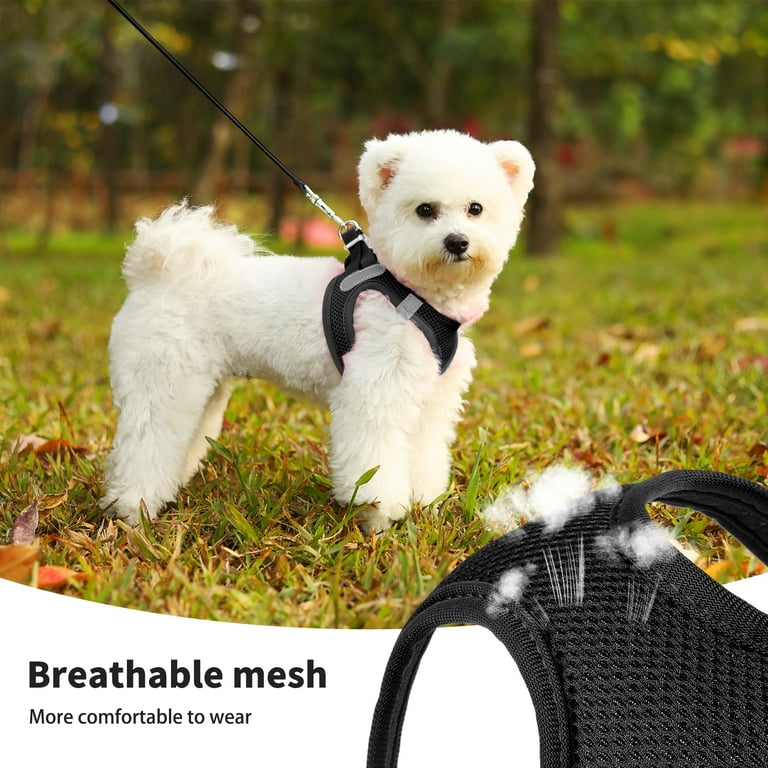 Charkool Reflective Dog Harness and Leash Set, Breathable Extra