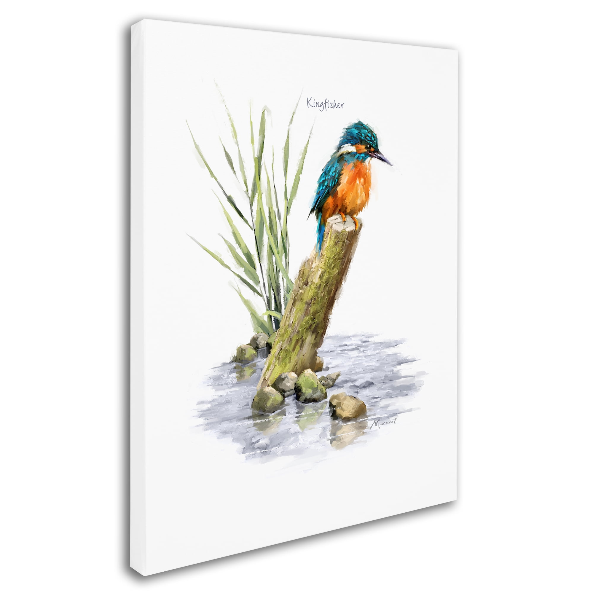 The Macneil Studio 'Kingfisher' Canvas Art