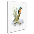 thumbnail image 2 of The Macneil Studio 'Kingfisher' Canvas Art, 2 of 3