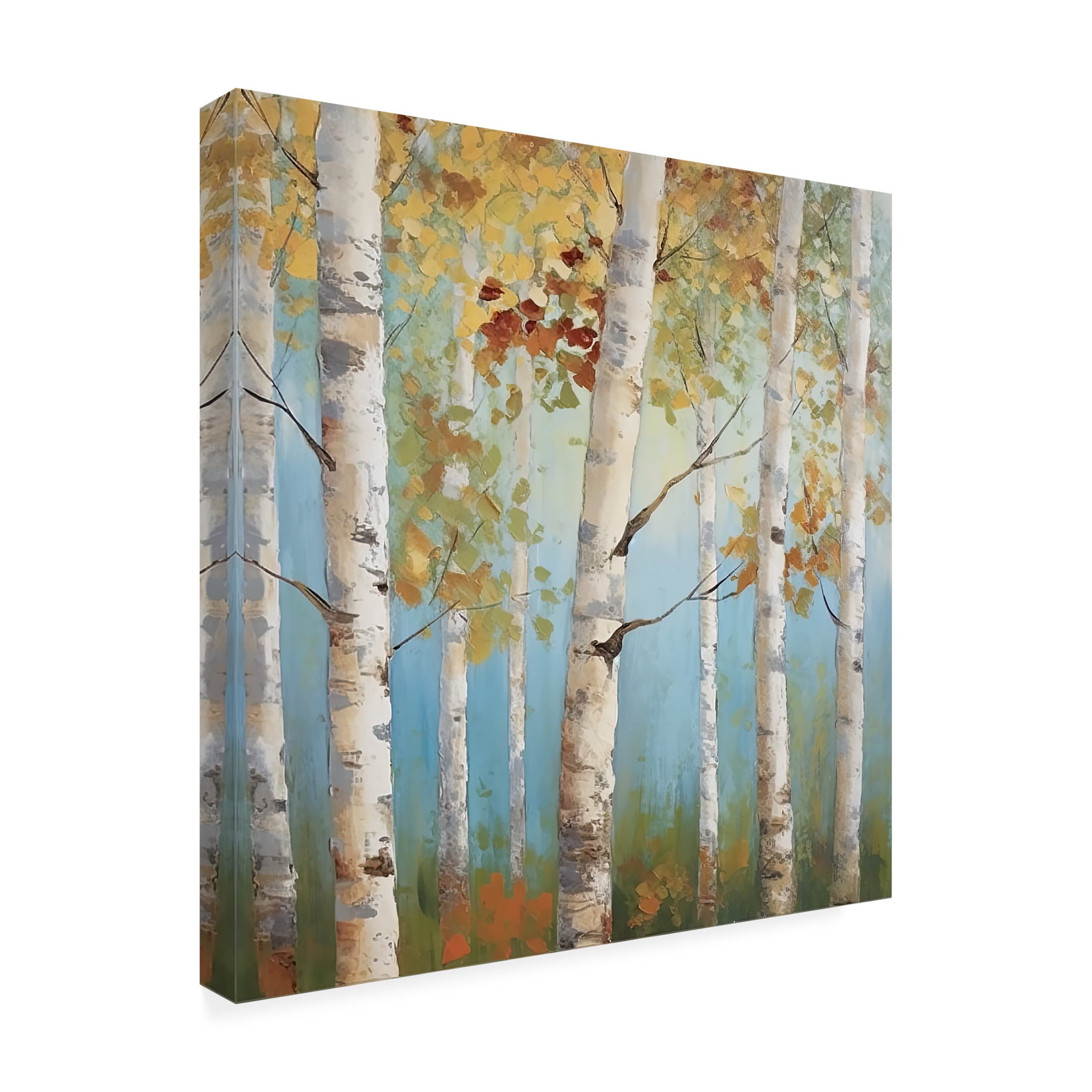 Canvas Wall Art - Sasha 'Birch Forest I' Wall Art for Living Room, Bedroom, or Office Décor by Trademark Fine Art - 14 x 14 Inches