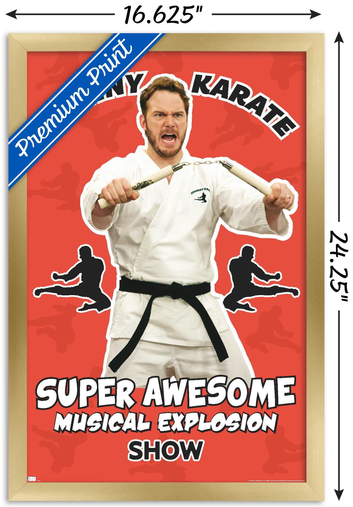 Parks and Recreation - Johnny Karate Wall Poster, 14.725" x 22.375" Framed