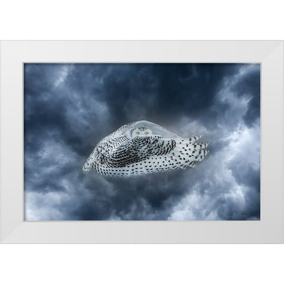 Jaynes Gallery 14x11 White Modern Wood Framed Museum Art Print Titled - Canada-Composite of female snowy owl in flight