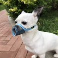 thumbnail image 1 of GFDYREE MOIILAVIN Dog Muzzle 2PCs,Soft Air Mesh Muzzle Breathable for Barking Grooming Biting Chewing for Small Medium Breeds, Barkless Mesh Muzzle Stop Puppy Eating Poop&Rocks XXS XS S (Blu, 1 of 6
