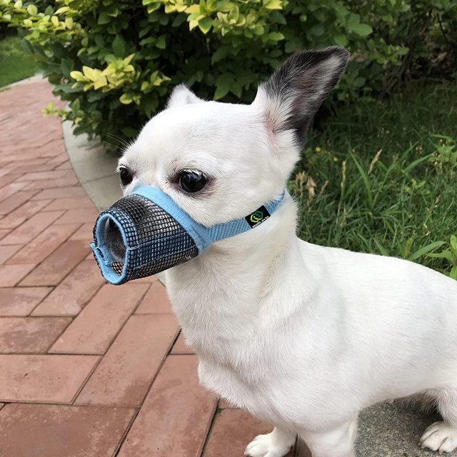 GFDYREE MOIILAVIN Dog Muzzle 2PCs,Soft Air Mesh Muzzle Breathable for Barking Grooming Biting Chewing for Small Medium Breeds, Barkless Mesh Muzzle Stop Puppy Eating Poop&Rocks XXS XS S (Blu