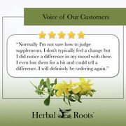 Herbal Roots Organic St. John’s Wort Capsules with Organic Extract, 300 Count
