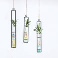 thumbnail image 3 of 3 Pcs Different Length Test Tube Hanging Glass Planter Bud Flower Vase Terrarium Container for Home Decoration Green Plants Wedding, 3 of 7
