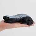 thumbnail image 4 of Honey Badger Figurine Realistic Simulation Wild Animal PVC Miniature Honey Badger Educational Toy for Kids, 4 of 7