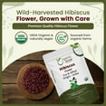 thumbnail image 4 of Organic Way Dried Hibiscus Flower Cut & Sifted, Herbal Tea, 8 Oz, 4 of 8