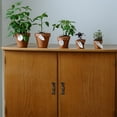 thumbnail image 1 of unbranded 8Pack Arch Black Drawer Handle Pulling for Homeowners and Simple Furniture Needs, 1 of 8