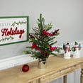 thumbnail image 2 of Northlight Pre-Lit LED Mixed Pine Potted Christmas Tree with Berries and Cardinals - 2' - Warm White, 2 of 7