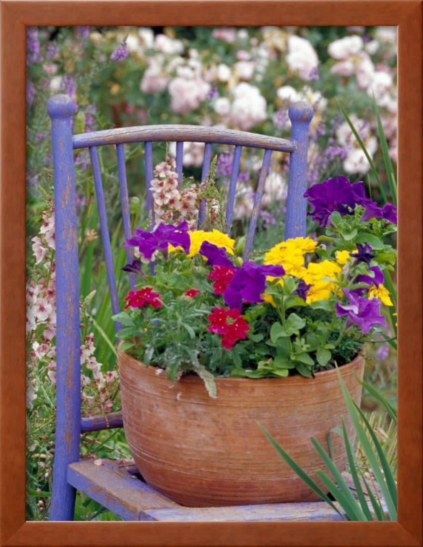 Mixed Flowers And Old Chair Seattle Washington Usa Framed Print Wall Art By Terry Eggers