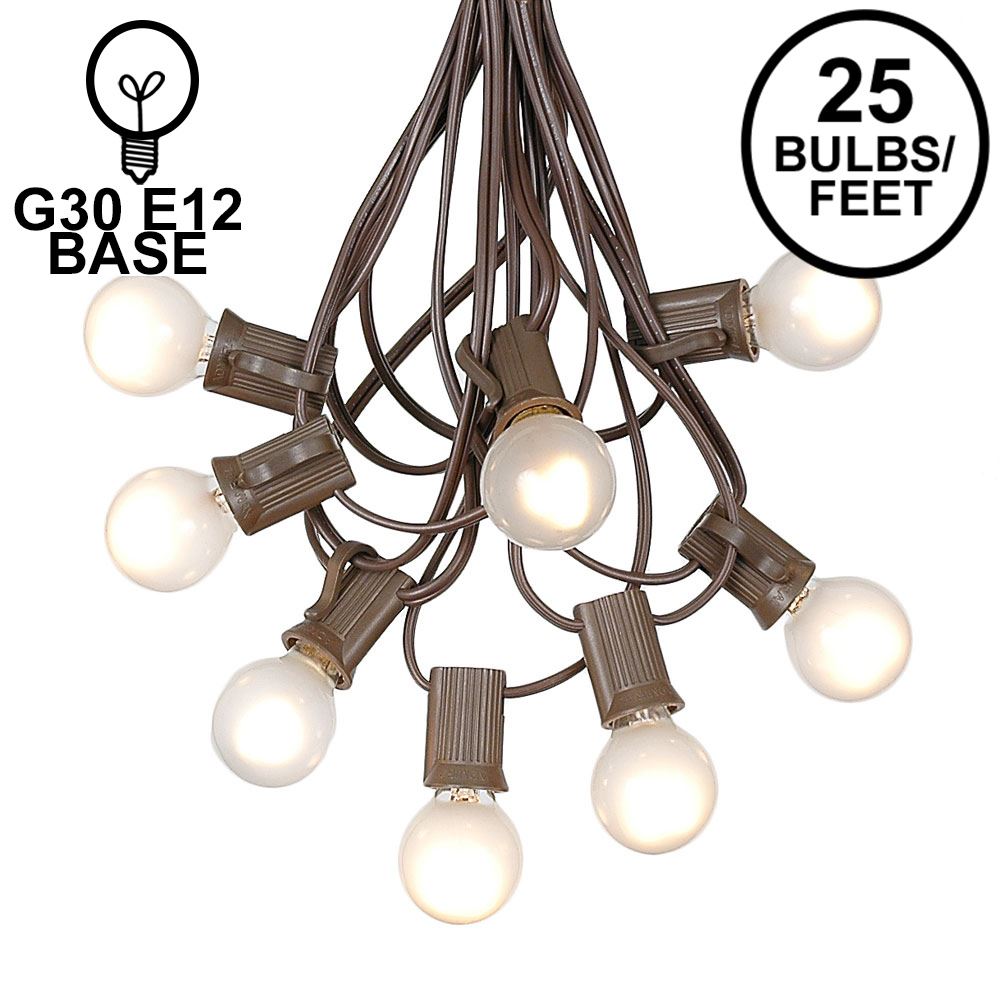 25 Foot G30 Outdoor Patio String Lights with 25 Frosted White White