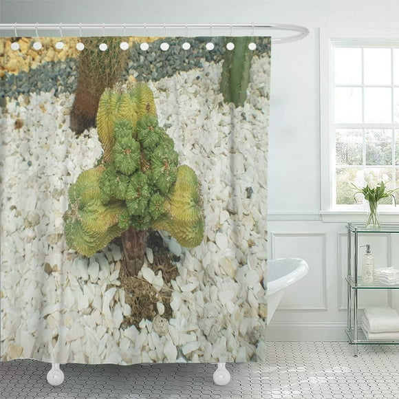 YUSDECOR Green Beautiful Peyote Cactus in The Cults of American Bathroom Decor Bath Shower Curtain 60x72 inch