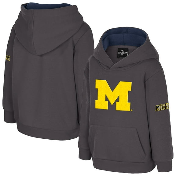 Toddler Colosseum Charcoal Michigan Wolverines Big Logo Volume Fleece Pullover Hoodie