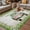 Gray Green, variant on Spring Easter Outdoor Rug for Patio/Deck/Porch, Non-Slip Large Area Rug 4 x 6 Ft, Easter Eggs Bunny Truck Botanical Green Plaid Indoor Outdoor Rugs Washable Area Rugs, Camping Rug Carpet Runner