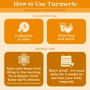 ORGANIC INDIA Turmeric Formula Herbal Supplement