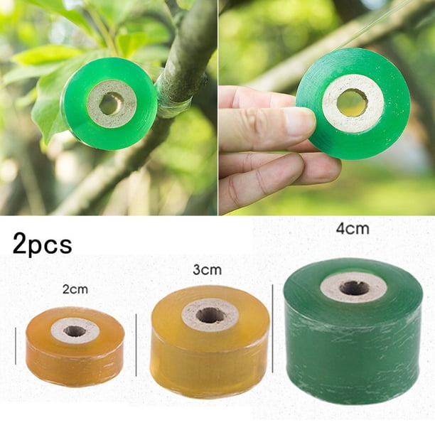 2 cintas de injerto autoadhesivas y elásticas para plantas de jardín.