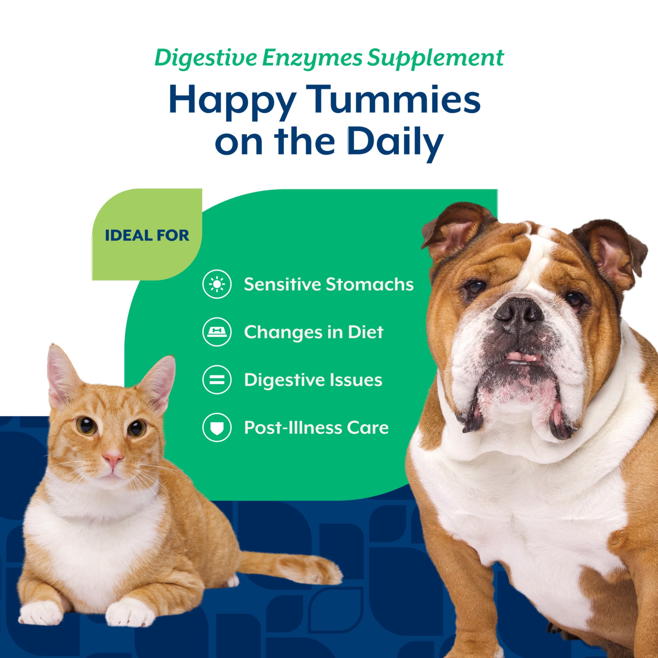 NaturVet Digestive Enzymes Supplements for Dogs and Cats, 4 oz Powder