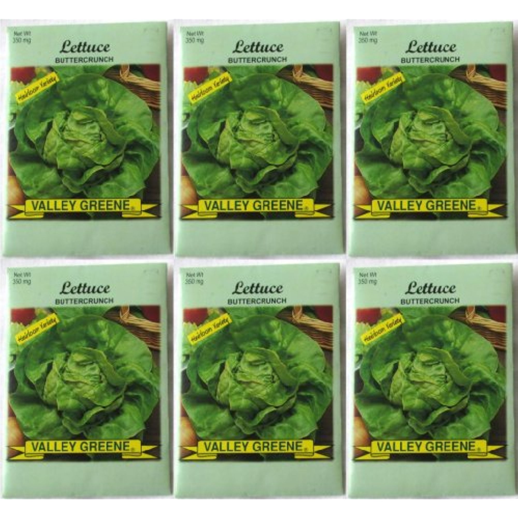 Valley Greene (6 Pack) 350 mg/Package Buttercrunch Lettuce Heirloom