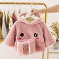 thumbnail image 1 of Corea bebé niña niños bordado dibujos animados ropa polar espesar princesa sudadera con capucha Ehuebsd Para estrenar, 1 of 9