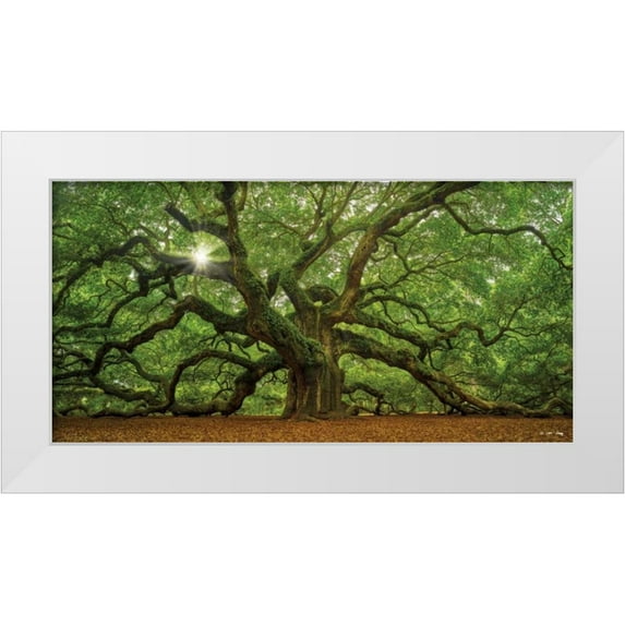 Levy, Moises 18x11 White Modern Wood Framed Museum Art Print Titled - The Tree