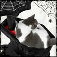 thumbnail image 4 of LHBCraft Gothic Cat Tree with Coffin Bed, 30.3" Black Cat Tower for Indoor Cats with Scratching Posts for Halloween Cat, Black and Red, 4 of 6