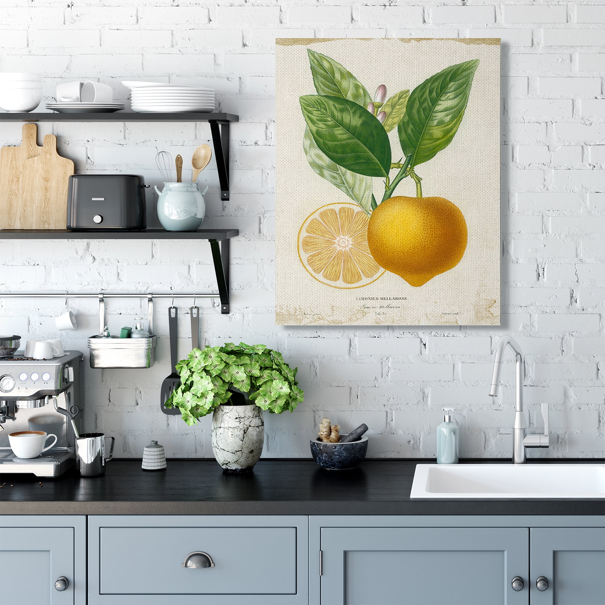 Stupell Industries Vibrant French Lemon Illustration Green Vine Canvas Wall Art by Studio W