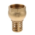 thumbnail image 3 of AMLESO Valve de Pied en Laiton Robuste Femelle Filetée pour Pompe à Eau DN50, 3 of 8