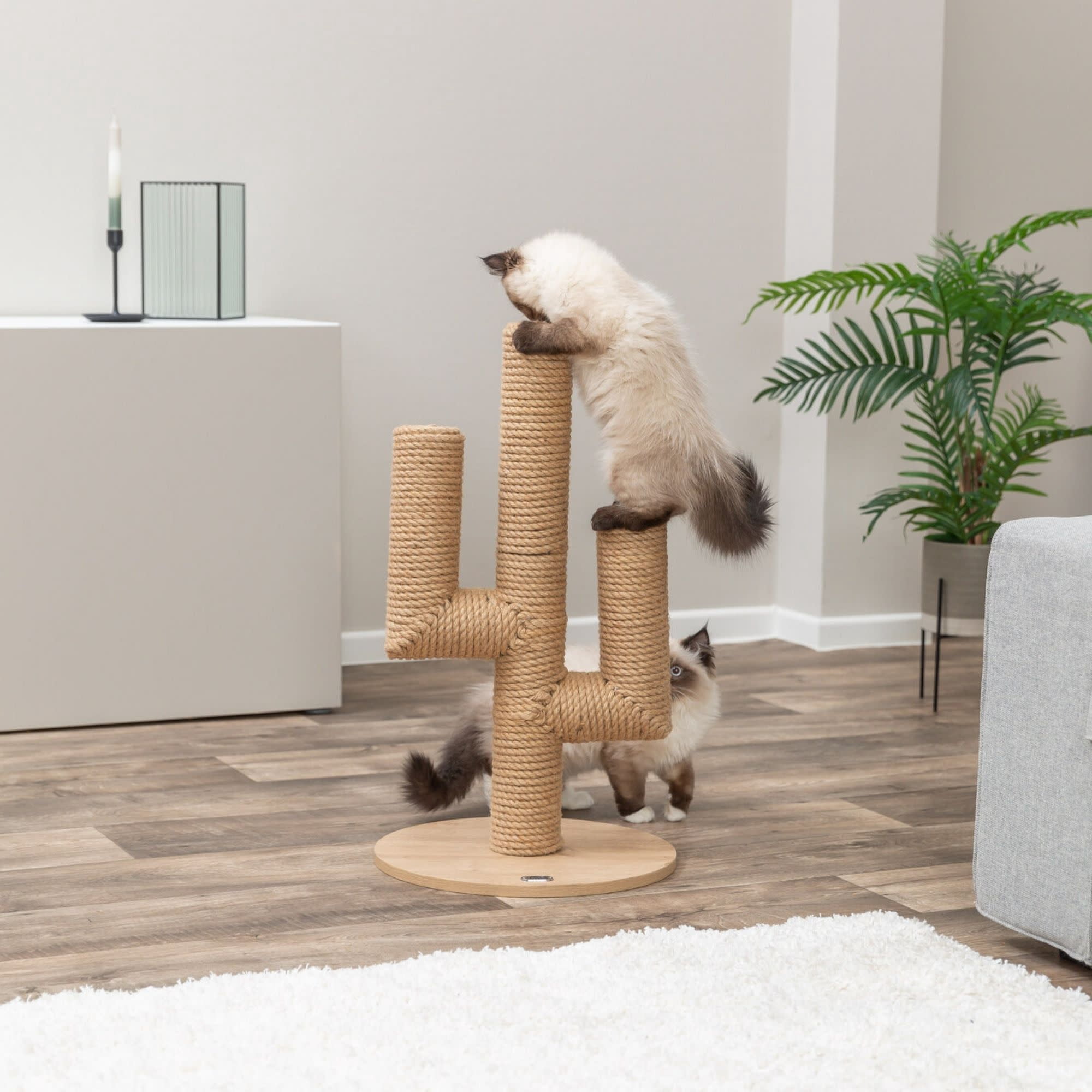TRIXIE Neo 27" Scratching Post - Indoor Jute Cat Scratcher Small Furniture