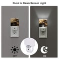 thumbnail image 3 of Salouo Luxurious Gold Flow for Night Lights Plug into Wall 1 Pack, 0.5W Plug in Night Light with Dusk-to-Dawn Light Sensor LED Nightlight for Bathroom, Adult, Hallway-US, 3 of 7