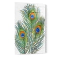 thumbnail image 2 of Epic Art 'Vivid Peacock Feathers II' by Tim O'Toole, Acrylic Glass Wall Art, 16"x24", 2 of 3