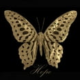 thumbnail image 2 of Greene, Taylor 12x12 Black Ornate Wood Framed with Double Matting Museum Art Print Titled - Hope Gold Butterfly, 2 of 4