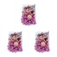 thumbnail image 3 of Inteprter Plantas de flores secas Fabricación en seco para la caja del teléfono móvil Adornos caseros hechos a mano Accesorio colgante de tipo5 3piezas, 3 of 6