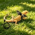 thumbnail image 4 of Adjustable Small Reptile Leash with Escape-Proof Nylon Rope, Soft Chest Strap, Elastic Cushioning, Includes Leg Covers for Bearded Dragons, Geckos, Iguanas, Sizes S to L, Multiple Colors, 4 of 6