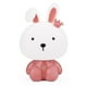 thumbnail image 1 of Doctor Rabbit Night Light Crown Rabbit Lámpara de mesa LED mengchengxianhuazhengshangmaoyouxiangongsi necesidades diarias, 1 of 1