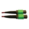 thumbnail image 3 of Eaton Tripp Lite Series 400G Multimode 50/125 OM4 Plenum-Rated Fiber Optic Cable, 16F MTP/MPO-APC (F/F), Magenta, 1 m - Network cable - MTP/MPO/APC multi-mode (F) to MTP/MPO/APC multi-mode (F) - 1 m - fiber optic - 50 / 125 micron - OM4 - plenum - black, magenta, green, 3 of 3