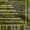 Olive Green, variant on oneOone Polyester Spandex Peach Fabric Stripes Dress Material Fabric Print Fabric By The Yard 56 Inch Wide